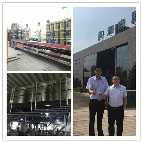 漆強(qiáng)化工--長春盈潤家具廠